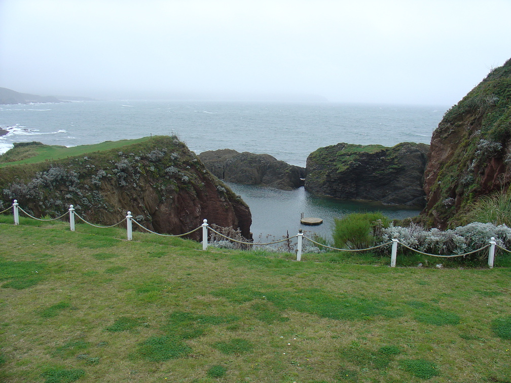 DSC06006
