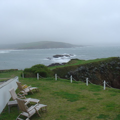 DSC06007