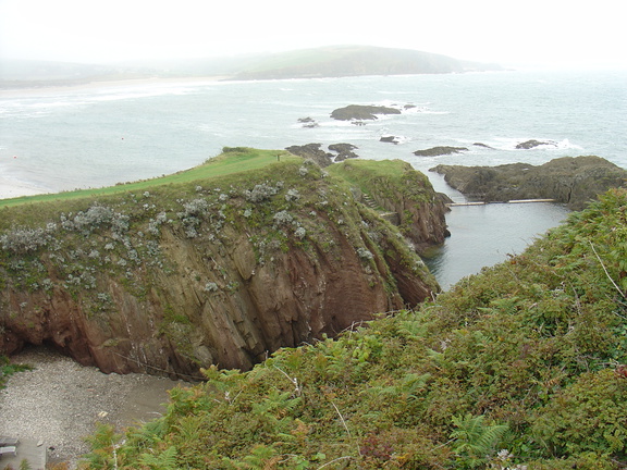 DSC06011