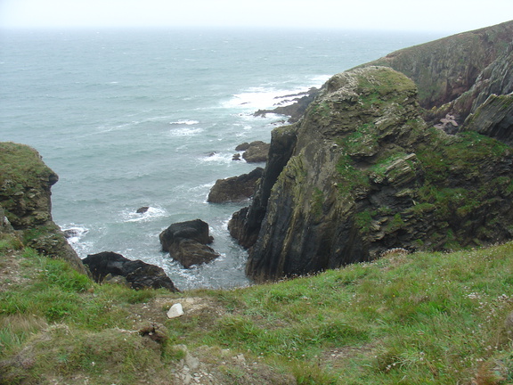 DSC06019