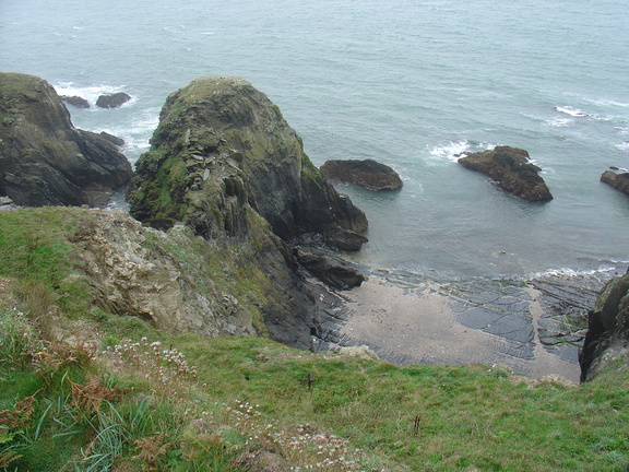 DSC06020