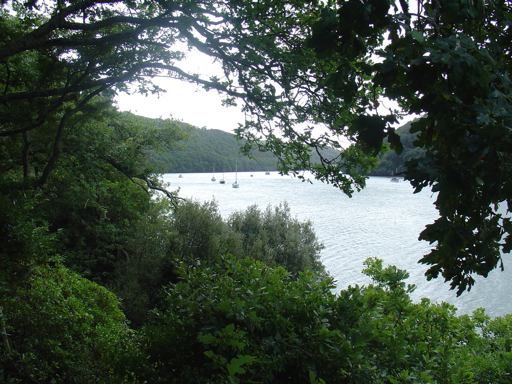 DSC06034