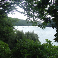 DSC06034