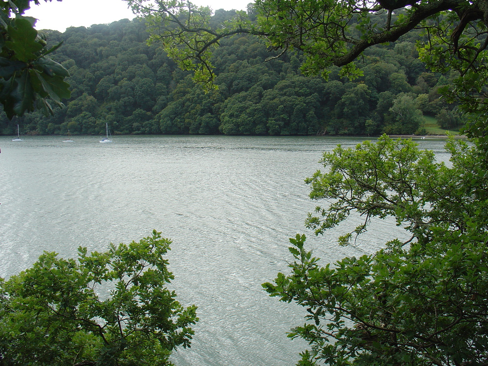 DSC06035