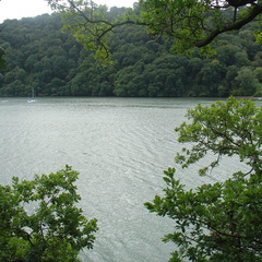 DSC06035