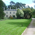 DSC06038