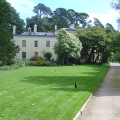 DSC06038