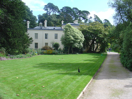 DSC06038