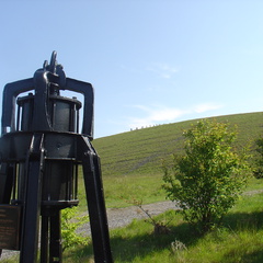 DSC05616