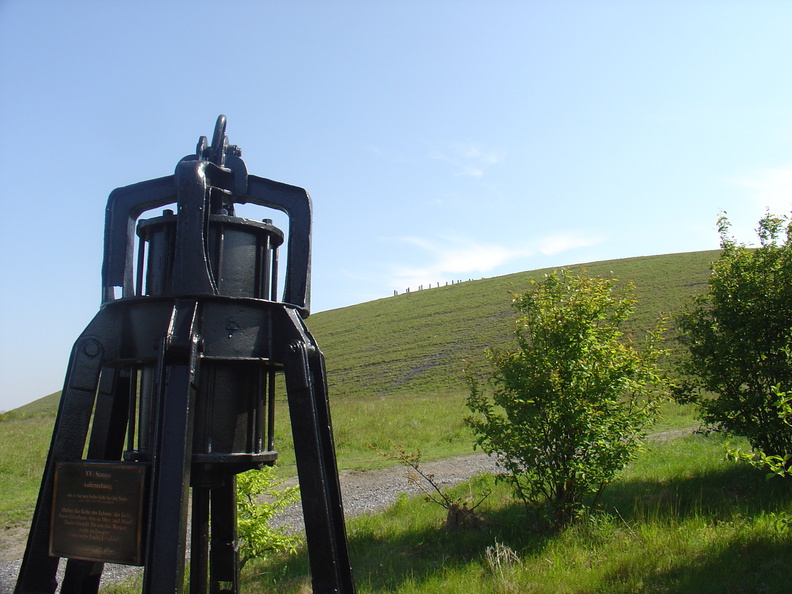 DSC05616.JPG