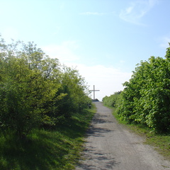 DSC05618