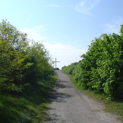 DSC05619