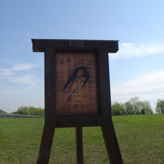 DSC05624
