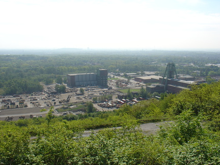 DSC05629