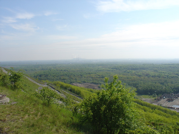 DSC05630