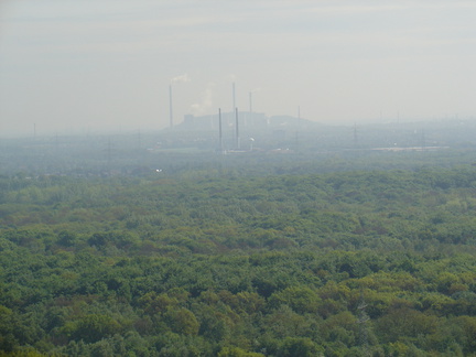 DSC05631