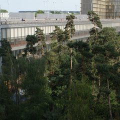DSC02257