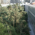 DSC02259