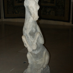DSC02337