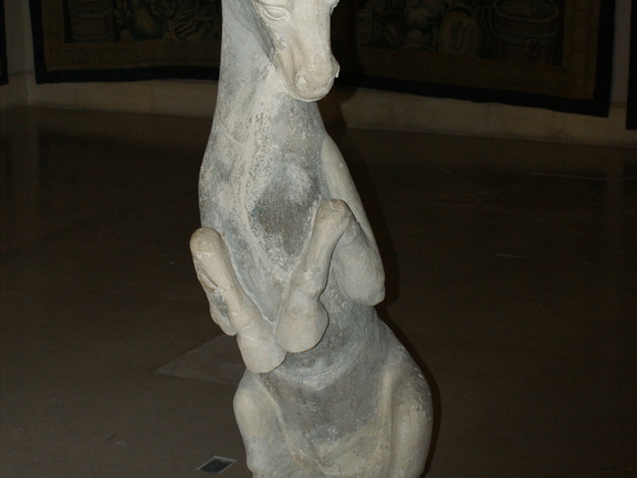 DSC02337