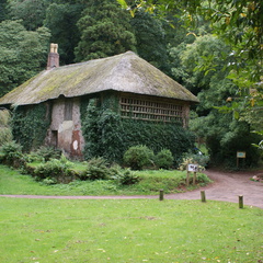 DSC02593