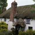 DSC02597