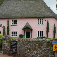 DSC02598