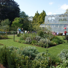DSC02530