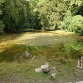 DSC02776