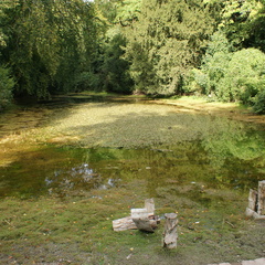 DSC02776