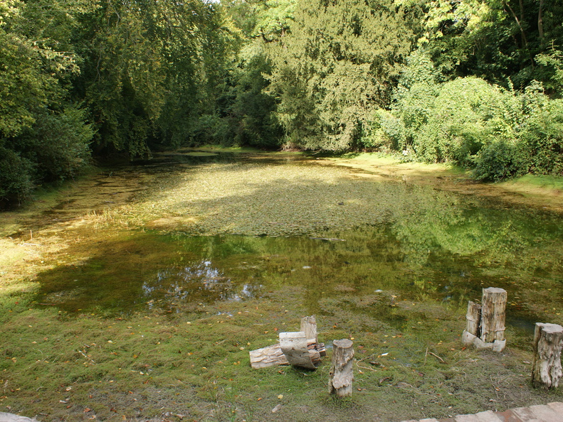 DSC02776
