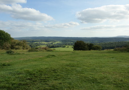DSC02779