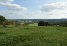 Newlands Corner