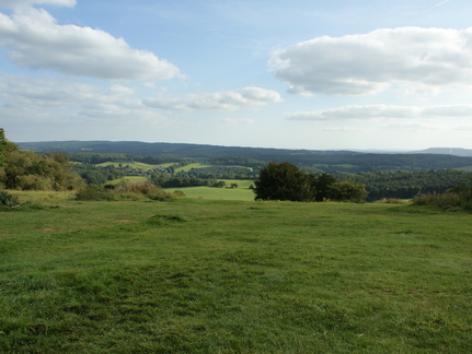 DSC02781
