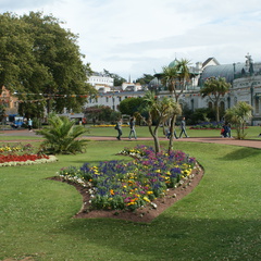 DSC02622