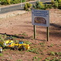 DSC02720