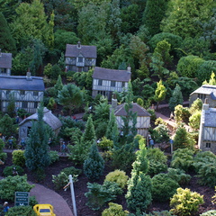 DSC02729