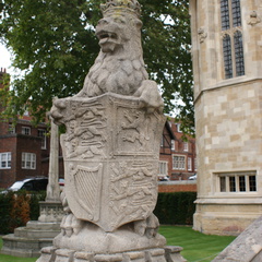 DSC02490