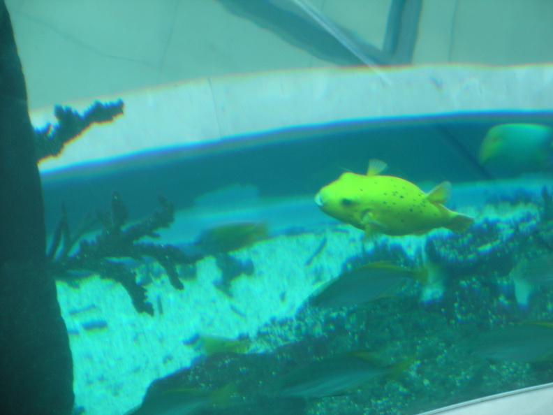 DSC00043.JPG