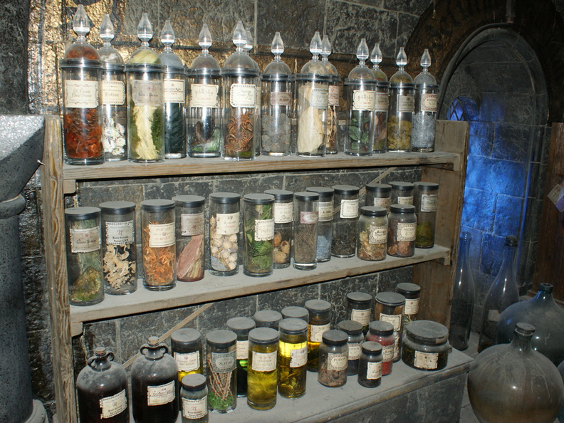 DSC03696