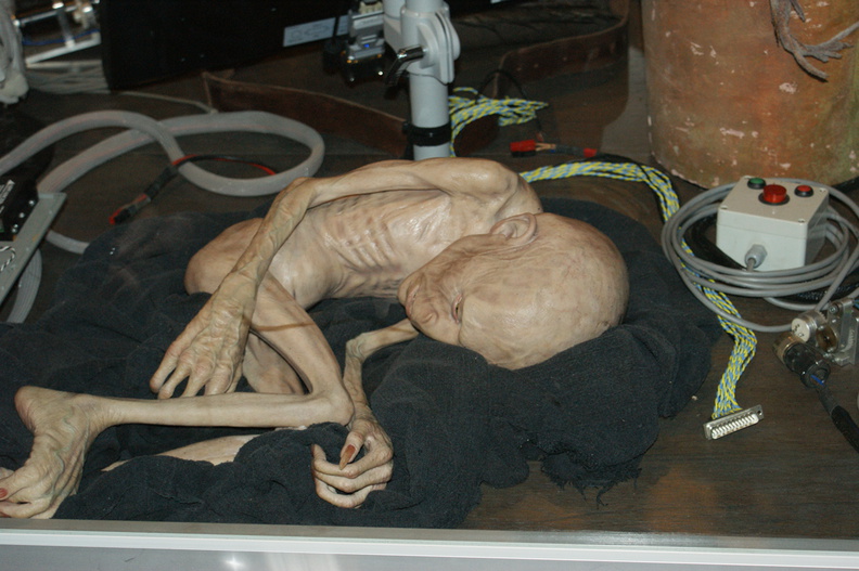DSC03774.jpg