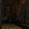 DSC03920