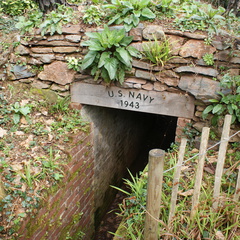DSC03139