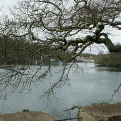 DSC03142