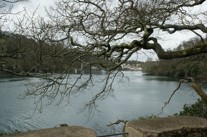 DSC03142.jpg