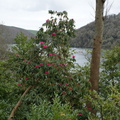 DSC03158