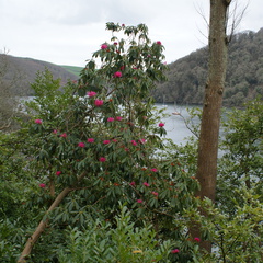 DSC03158