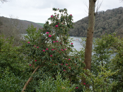 DSC03158