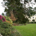 DSC03174
