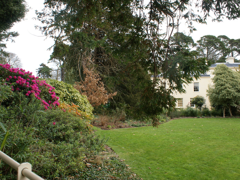 DSC03174